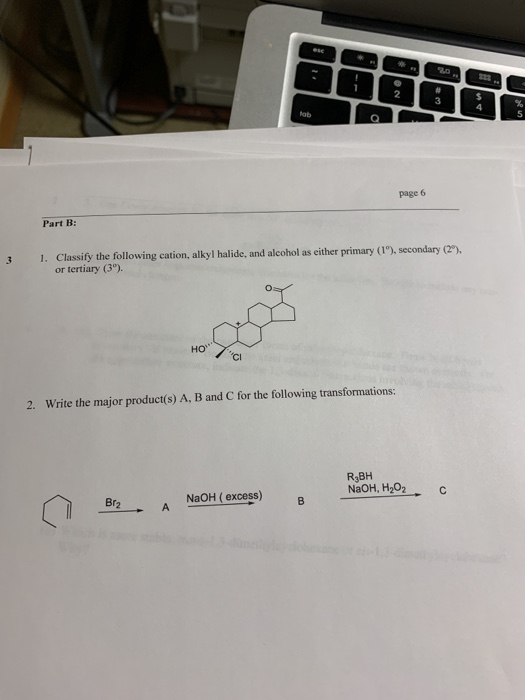 2 Rob page 6 Part B: 3 1. Classify the following cation, alkyl halide, and alcohol as either primary (1), secondary (2) or t