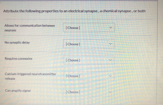 Attribute the following properties to an electrical synapse, a chemical synapse, or both Allows for communication between [Ch