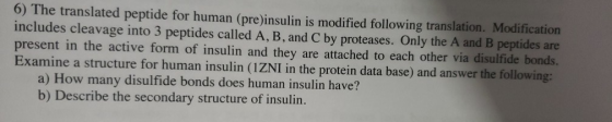 6) The translated peptide for human (pre)insulin is modified following translation. Modification includes cleavage into 3 pep