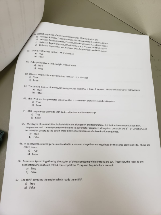 t sequence of enzymes necessary for DNA replication are he Meli Primase, Topoisomerase. b) Helicase To c) Helicase, Ton meras