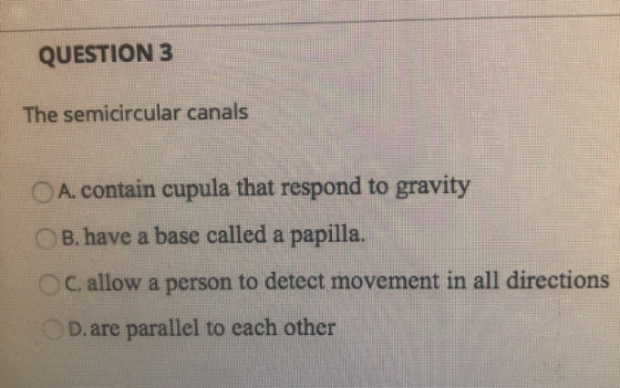 QUESTION 3 The semicircular canals A. contain cupula that respond to gravity B. have a base called a papilla. Callow a person