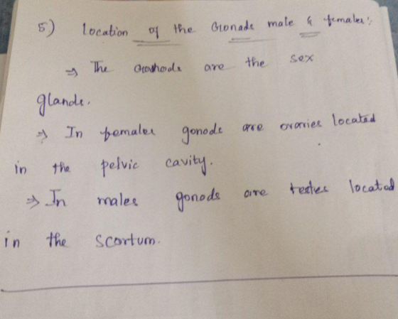location Glonade male & females, of the The Sex Otoshoot the are pre overrice located glande, In females the pelvic in gonode