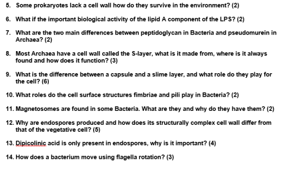 5. Some prokaryotes lack a cell wall how do they survive in the environment? (2) 6. What if the important biological activity