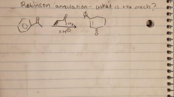 Robinson annulation - What is the mech? OHO