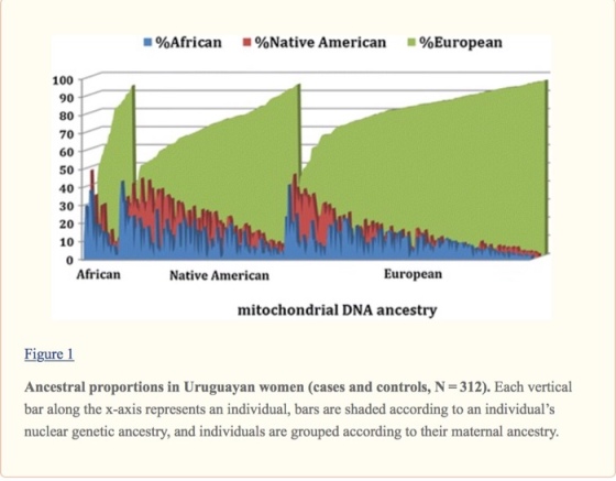90African %Native American .%European 100 80 70 60 50 40 30 20 10 0 African Native American Europearn mitochondrial DNA ancestry Figure 1 Ancestral proportions in Uruguayan women (cases and controls, N 312). Each vertical bar along the x-axis represents an individual, bars are shaded according to an individuals nuclear genetic ancestry, and individuals are grouped according to their maternal ancestry