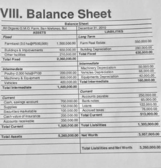 VIII. Balance Sheet Balance Sheet All Organic G.M.O. Farm, San Iidefonso, Bul ASSETS December 31, 2010 LIABILITIES Fixed Long