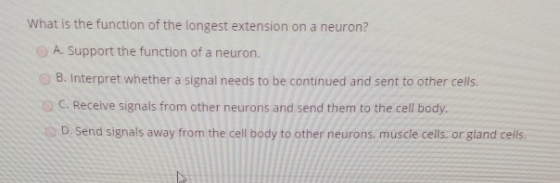 What is the function of the longest extension on a neuron? A. Support the function of a neuron. B. Interpret whether a signal
