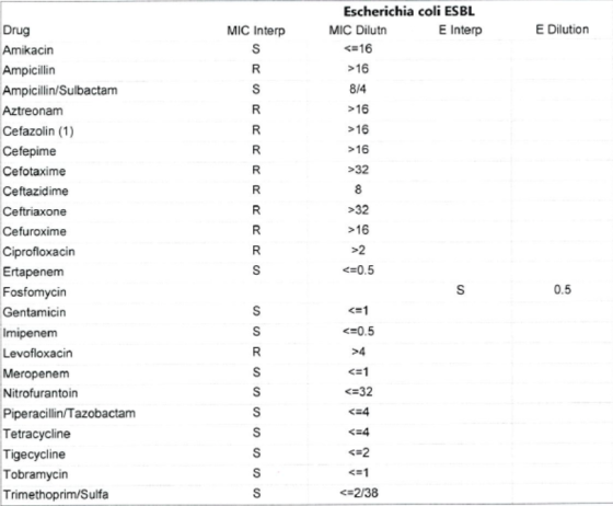 MIC Interp E Dilution Escherichia coli ESBL MIC Dilut E Interp <=16 > 16 8/4 >16 >16 >16 >32 Drug Amikacin Ampicillin Ampicil