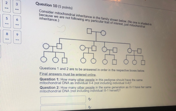 2 3 Question 10 (5 points) Consider mitochondrial inheritance in the family shown below. (No one is shaded-in because we are