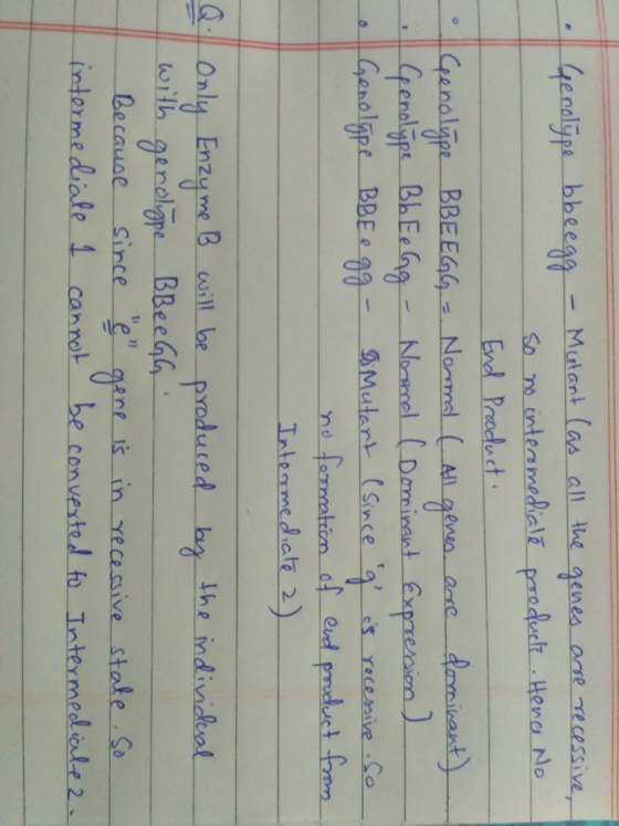End Roodut ВЬЕе Norsnel Dominant Expreniom Inteme datz 2 Only Enz eesil be pradued he indindieol wilh an Because Since intormediate 1 canrot be convestol h Intermeiule 2 ene s in yecessive s tate So