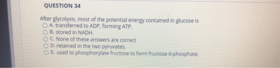QUESTION 34 After glycolysis, most of the potential energy contained in glucose is A. transferred to ADP, forming ATP. B. sto