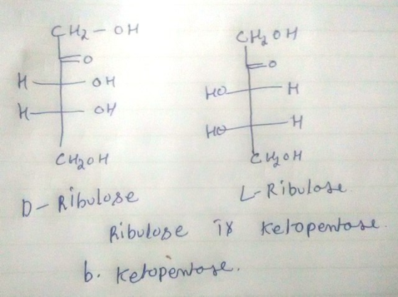 He CH2o H b Ribulose レRibuleu