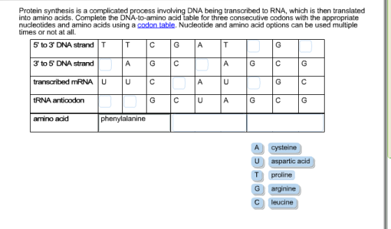 Protein synthesis is a complicated process involvi