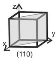(110)