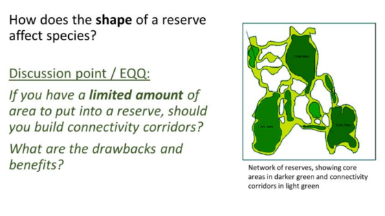 How does the shape of a reserve affect species? Discussion point / EQQ: If you have a limited amount of area to put into a re