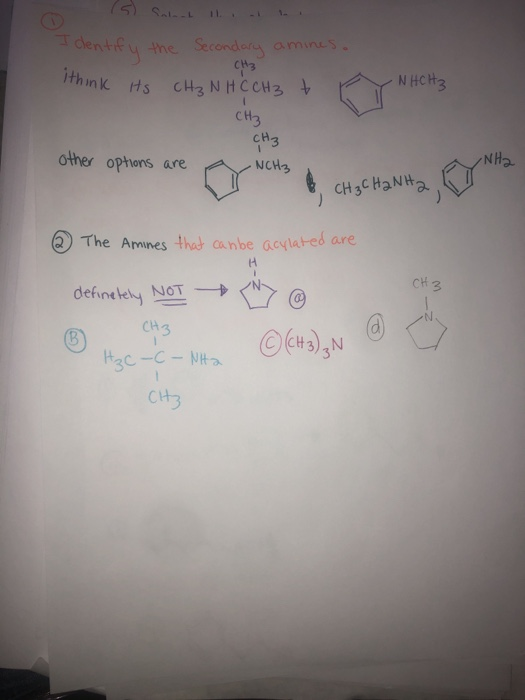 Identify CH3 i think its CH₃NH C CH3 t the Secondary amines. - NHCH3 CH₃ CH3 NCH3 CH₃CH2NH2 other options are -NH2 The Amines