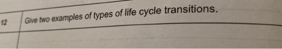 Give two examples of types of life cycle transitions.