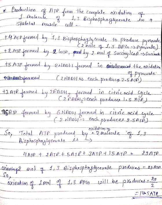 come and presentes para # Production of ATP from the corroplele oxidation of j moleute 1, 3 Bisphospho geceral.co.in Skeletal