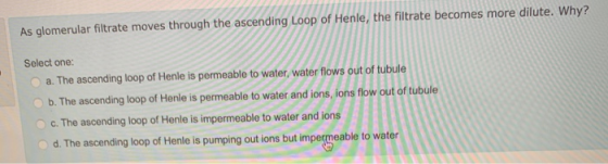 As glomerular filtrate moves through the ascending Loop of Henle, the filtrate becomes more dilute. Why? Select one: a. The a