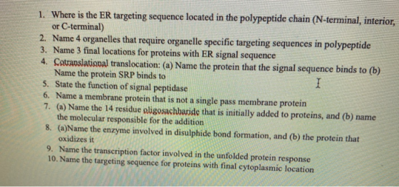 1. Where is the ER targeting sequence located in the polypeptide chain (N-terminal, interior, or C-terminal) 2. Name 4 organe