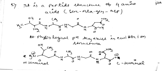 ay It is a peptide structure of 4 anino а са с ger - Ala-am - a4e) Но, е си а А+ Paso load Pч , exia , ot 40c i o) якои ch,