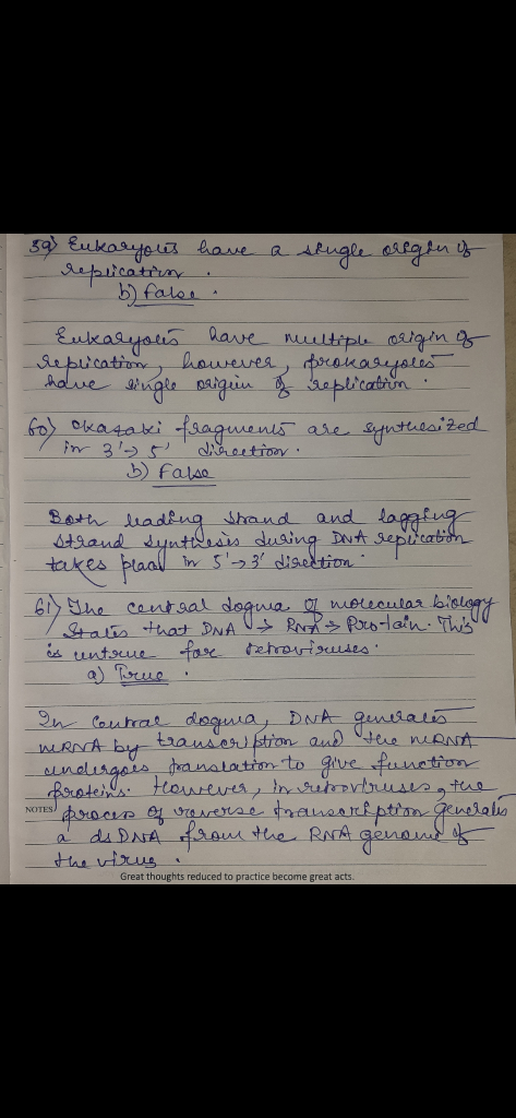 39 Eukoryea haue a Aepiicatiuny b)faler Eukasysua lave ultiple 0algin as howerea, prranasrales gte paigin eplratrin Sepiricat