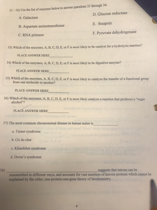 33-36) Use the list of enzymes below to answer questions 33 through 36: A. Galactase B. Aspartate aminotransferase C. RNA pri