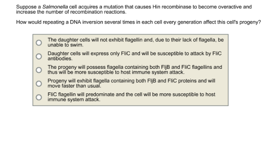 Suppose a Salmonella cell acquires a mutation that causes Hin recombinase to become overactive and increase the number of recombination reactions How would repeating a DNA inversion several times in each cell every generation affect this cells progeny? The daughter cells will not exhibit flagellin and, due to their lack of flagella, bee unable to swim. Daughter cells will express only FliC and will be susceptible to attack by FliC antibodies. The progeny will possess flagella containing both FljB and FliC flagellins and thus will be more susceptible to host immune system attack. Progeny will exhibit flagella containing both FljB and Flic proteins and will move faster than usual FliC flagellin will predominate and the cell will be more susceptible to host immune system attack