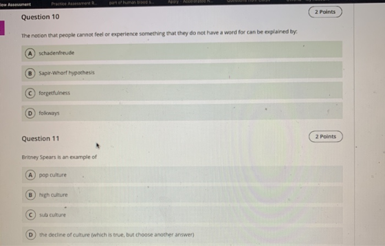 new Assessment Practice Assessment D haman ADDY Access Question 10 ( 2 Points The notion that people cannot feel or experienc