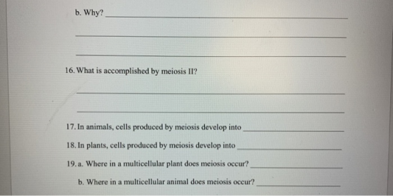 b. Why? 16. What is accomplished by meiosis II? 17. In animals, cells produced by meiosis develop into 18. In plants, cells p