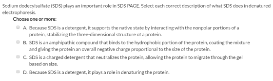 Sodium dodecylsulfate (SDS) plays an important role in SDS PAGE. Select each correct description of what SDS does in denature