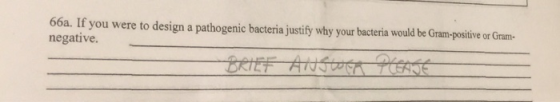 66a. If you were to design a pathogenic bacteria justify why your bacteria would be Gram-positive or Gram- negative.