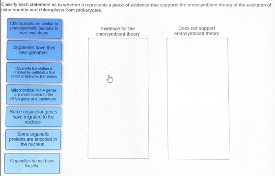Classify each statement as to whether it represents a piece of evidence that supports the endosymbiont theory of the evolutio
