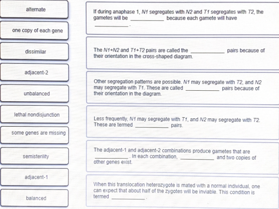 alternate If during anaphase 1, N1 segregates with N2 and T1 segregates with T2, the gametes will be because each gamete will