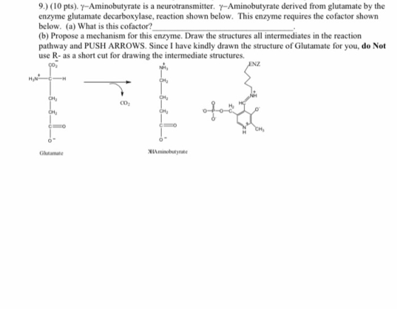 9.) (10 pts). 7-Aminobutyrate is a neurotransmitter. y-Aminobutyrate derived from glutamate by the enzyme glutamate decarboxy