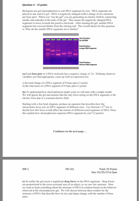 Question 4-12 points Biologists use gel electrophoresis to sont DNA segments by size. DNA segments are placed at one end of a gel. DNA is negatively chargod (with a charge of two electrons per base pair). When you run the gel you are generating an electric field by connecting anodes and cathodes at the ends of the gel This causes the negatively charged DNA segments to move towards the positive electrode. After nunning the gel, smaller DNA segments have moved farther from the starting end The overall theme for this question is: Why do the smaller DNA segments move farther? Langer DNA Segment Shotw DNA Segment (a) Each base pair of a DNA molecule has a negative charge of-2e. Defining whatever variables you find appropriate, come up with an expression for i) the total charge of a DNA segment of N base pairs (1 point) i) the total mass of a DNA segment of N base pairs(1 point (b) To understand how electrophoresis might work we will start with a simple model. We wi目ignore the gel and assume that the only force acting on the DNA segments is the electric force due to a constant electric field Starting with a free body diagram, produce an oquation that describes how the electrostatic force acts on DNA segments of decide how this force would affect the motion of different-sized segments of DNA. Does this explain how electrophoresis separates DNA segments by size? (2 points) diffierent sizes Use Newtons 2 law to Continues on the mest page.. HW 2 PH 142 Total: 35 Points Due:01/25/19 at 5pm (c) In reality the gel exerts a significant drag force on the DNA segments. Drag forces are proportional to the cross-sectional area of an object, as we saw last semester. Here we want to learn something about the structure of DNA in solution based on the behavior observed in the electrophoresis gel. We will choose between three models for the structure of DNA that describe how its size and shape change with the number of base paars