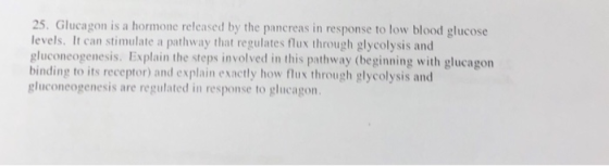 25. Glucagon is a hormone released by the pancreas in response to low blood glucose levels. It can stimulate a pathway that r
