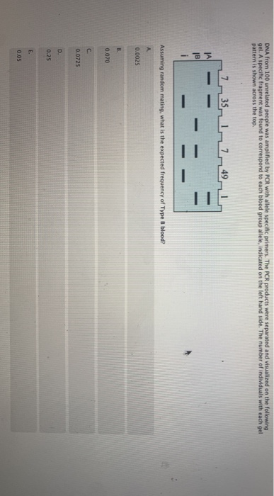 DNA from 100 unrelated people was amplified by PCR with allele specific primers, The PCR products were separated and visualiz