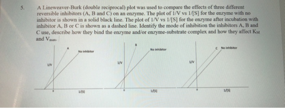 A Lineweaver-Burk (double reciprocal) plot was used to compare the effects of three different reversible inhibitors (A, B and