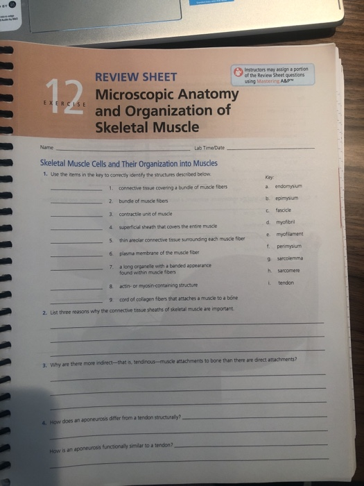 Instructors may assign a portion of the Review Sheet questions using Mastering ABP EXERCISE REVIEW SHEET Microscopic Anatomy