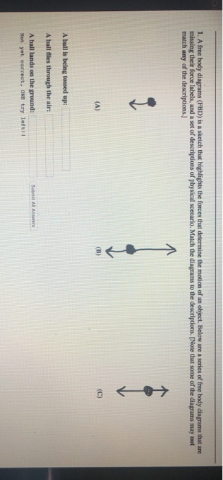 1. A free body diagrams (FBD) is a sketch that highlights the forces that determine the motion of an object. Below are a seri