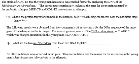 The strain of XDR-TB that the young man had above was studied further by analyzing the DNA of the Mycobacterium tuberculosis.