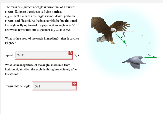 The mass of a particular eagle is twice that of a hunted pigeon. Suppose the pigeon is flying north at Vi,2 = 17.3 m/s when t