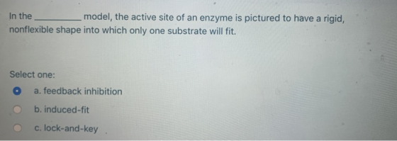 In the model, the active site of an enzyme is pictured to have a rigid, nonflexible shape into which only one substrate will