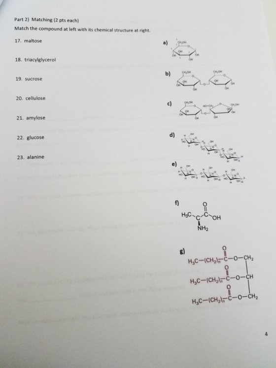 Part 2) Matching (2 pts each) Match the compound at left with its chemical structure at right. 17. maltose a) 18. triacylglycerol CH OH b) 19. sucrose 20. cellulose c) 21. amylose 22. glucose d) 23. alanine e) M CH OH H NH2 0 g) 0 H3C--(CH2)n-c-o-CH2