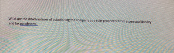 What are the disadvantages of establishing the company as a sole proprietor from a personal liability and tax perspective