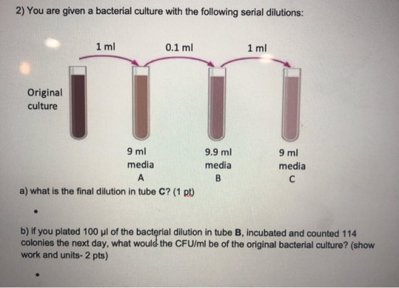2) You are given a bacterial culture with the following serial dilutions: 1 ml 0.1 ml 1 ml Original culture 9 ml media 9.9 ml