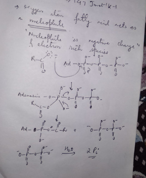 liggen alen som uncleople 147 Imatiky fatly reid nets as hatten wil lesphile in negative changes species Adenosine -o-pro-p-o