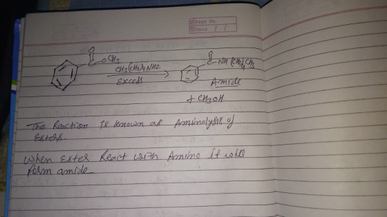 Page No. polan amide
