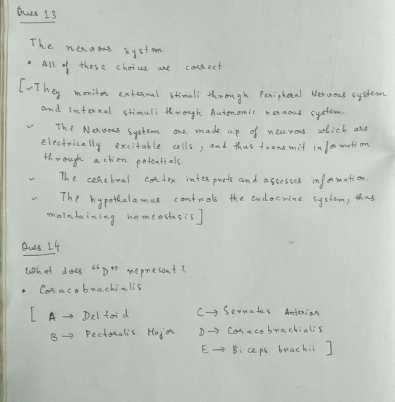 Ques 13 The nessst en All these choi cas are c ect he mi e stmi Pasiphaal Nes ous system and int n nal stimuli t mengh Autmomic ha4ous systemi The Narsystem e electrica lly etatle easns rans mi jn thnouth a hon potertials and thus ans mit in ma ea (Us The cealbmal cea4ex intupnels and assesses ., n/ann ati hPotlalamus cont nols the envine ysfom, s malntainin he meestass A → Deltoid → Pectoa alis E→ Bi ceps brachii